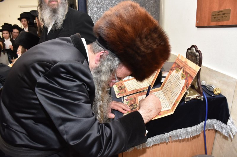 יהודה פרקוביץ