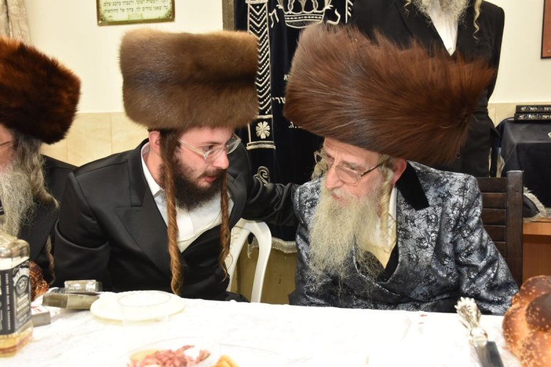 יהודה פרקוביץ