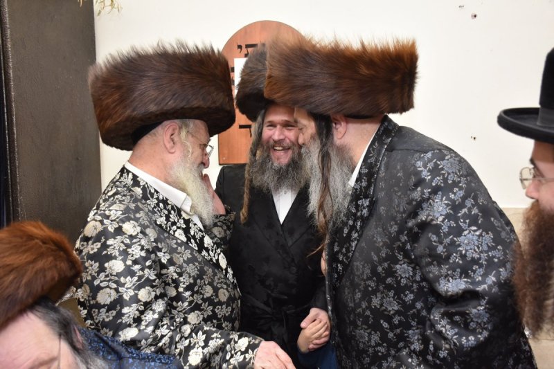 יהודה פרקוביץ