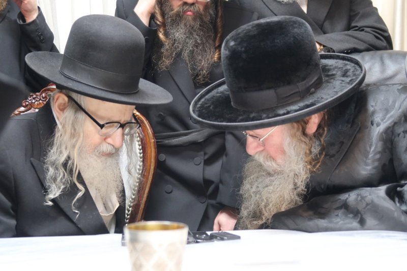 י. פריד