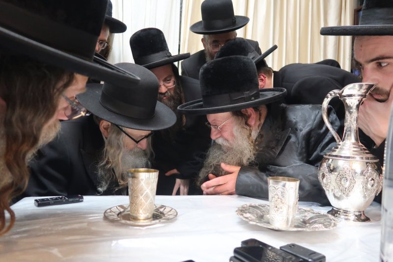 י. פריד