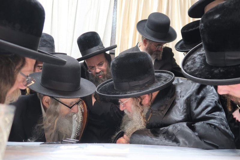 י. פריד