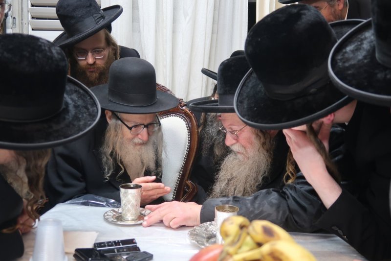 י. פריד