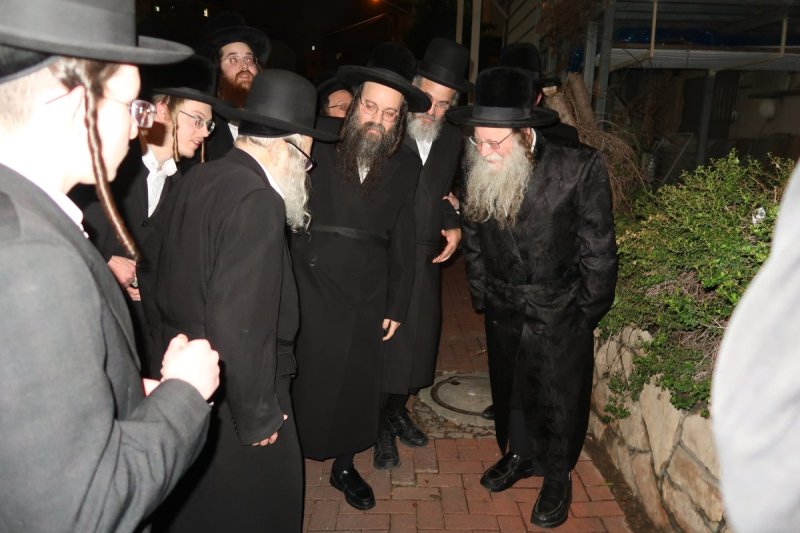 י. פריד