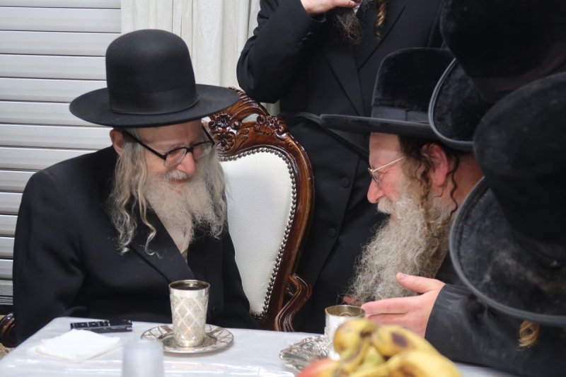 י. פריד