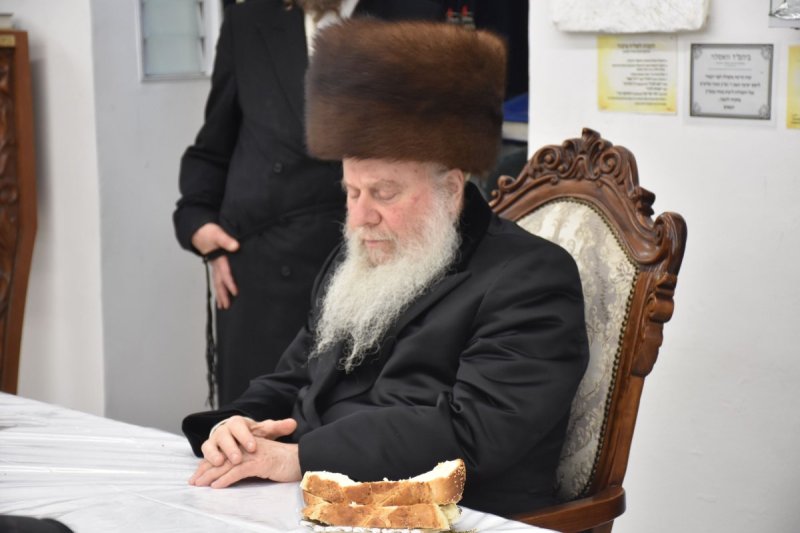 יהודה פרקוביץ