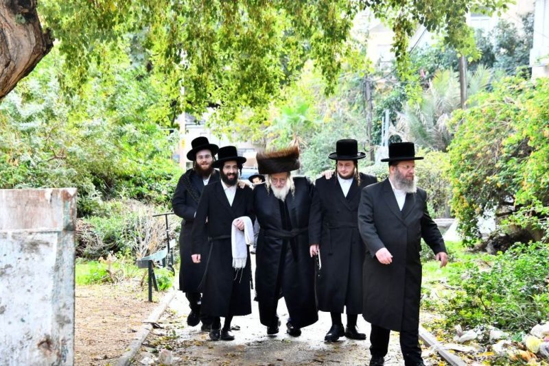 שוקי לרר