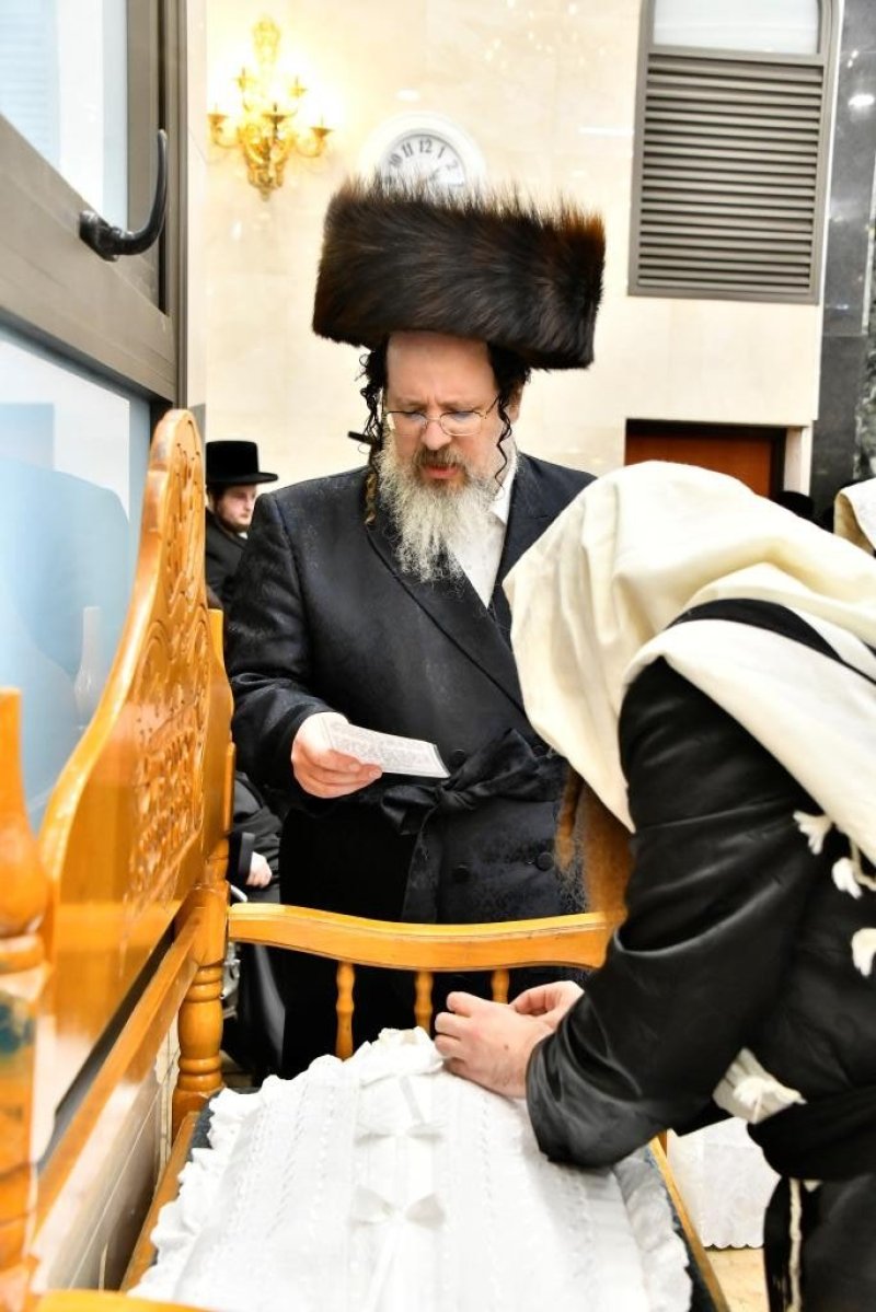 שוקי לרר