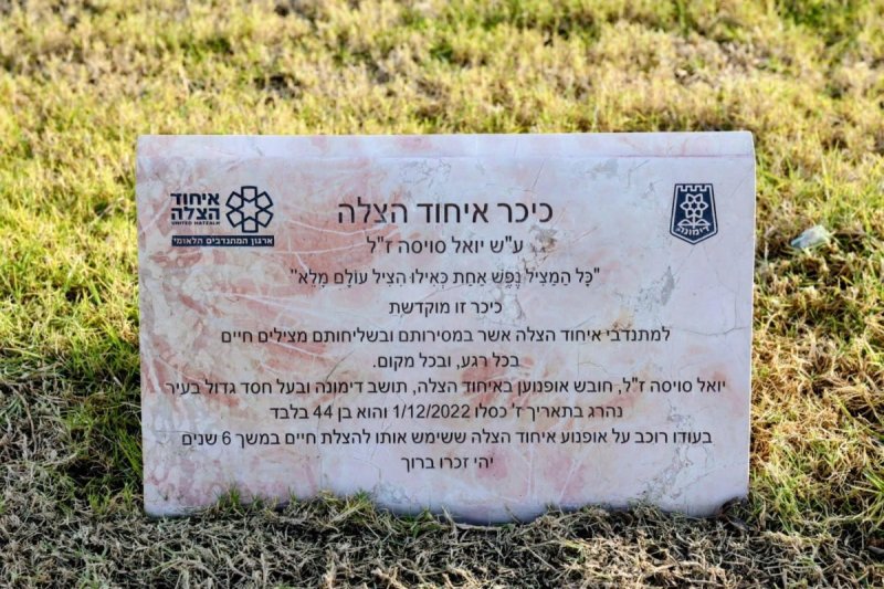 דוברות
