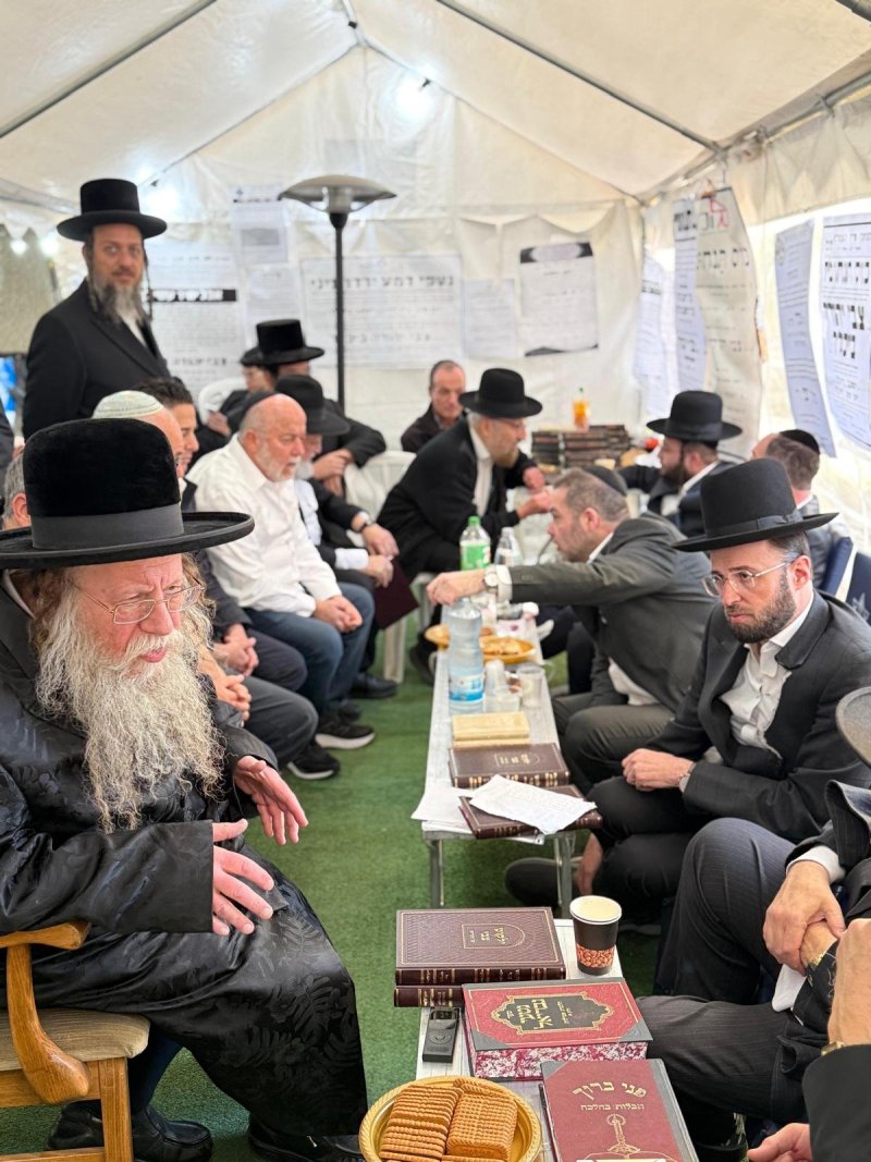 באדיבות המצלם