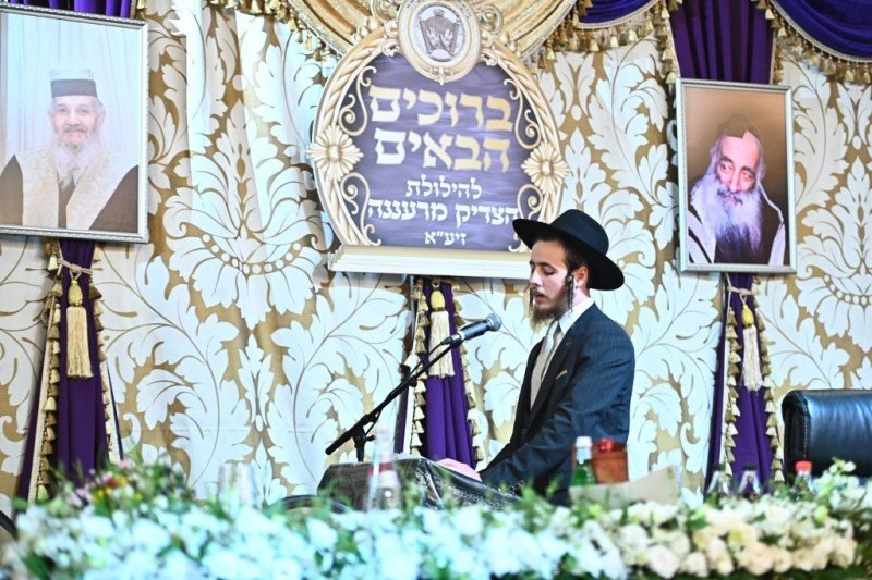 שוקי לרר