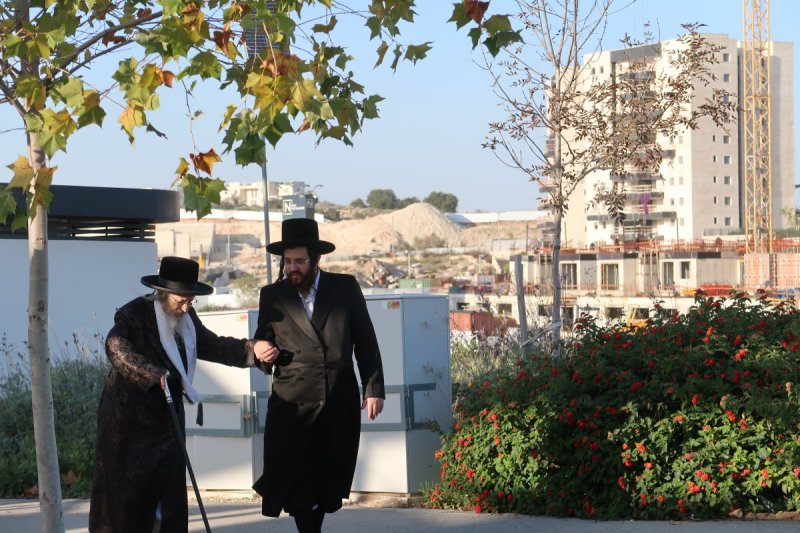 שימי פ.