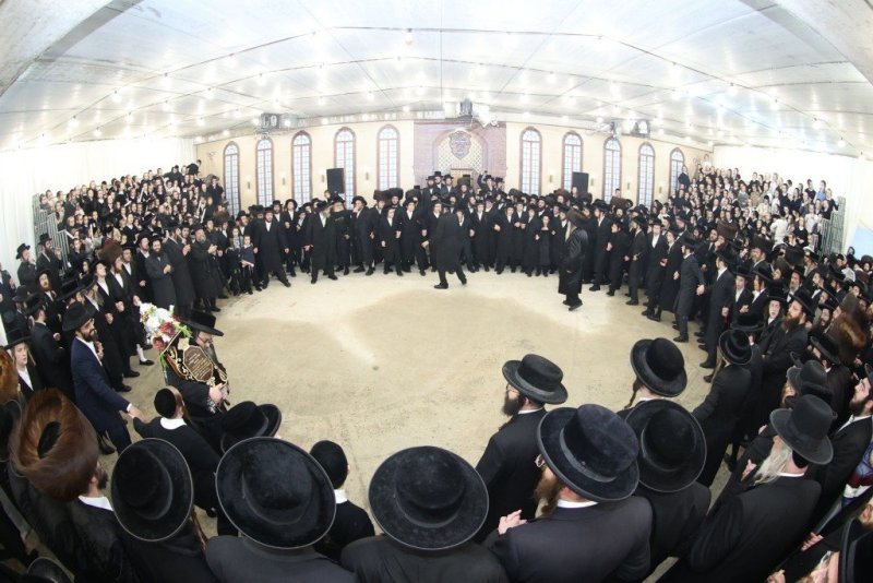שלומי טריכטר