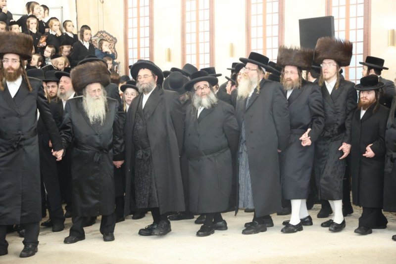 שלומי טריכטר