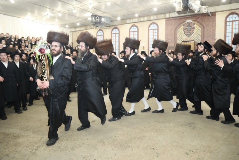 שלומי טריכטר