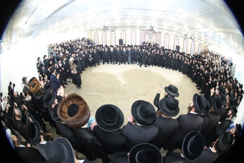 שלומי טריכטר