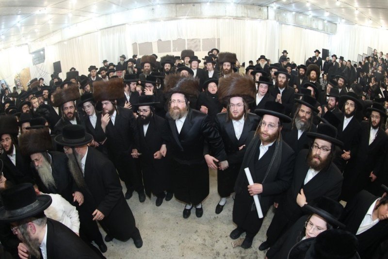 שלומי טריכטר