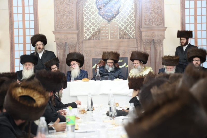 שלומי טריכטר