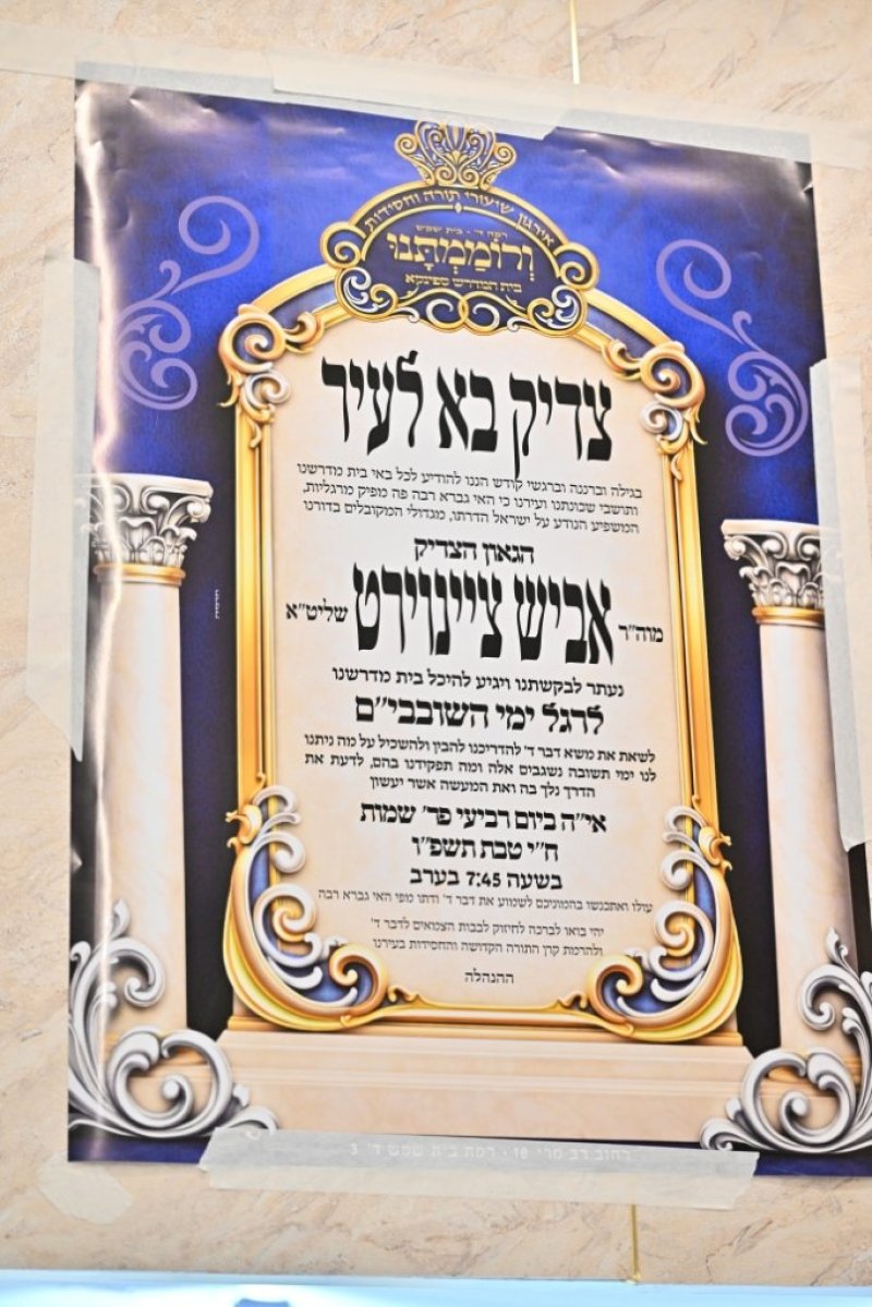 יהושע פרוכטר