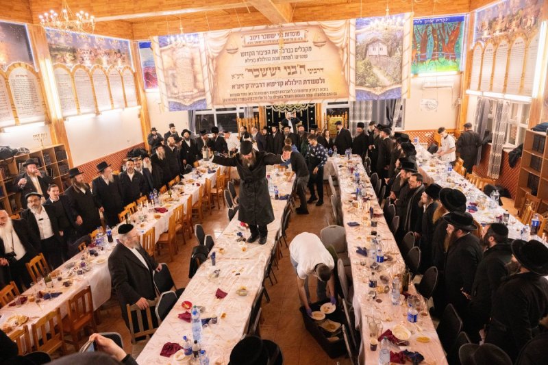 שלום קרויס