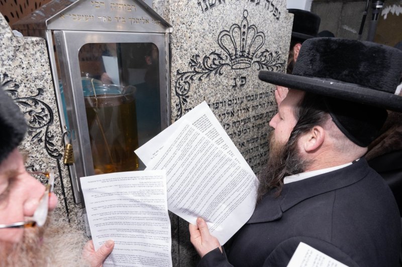 שלום קרויס