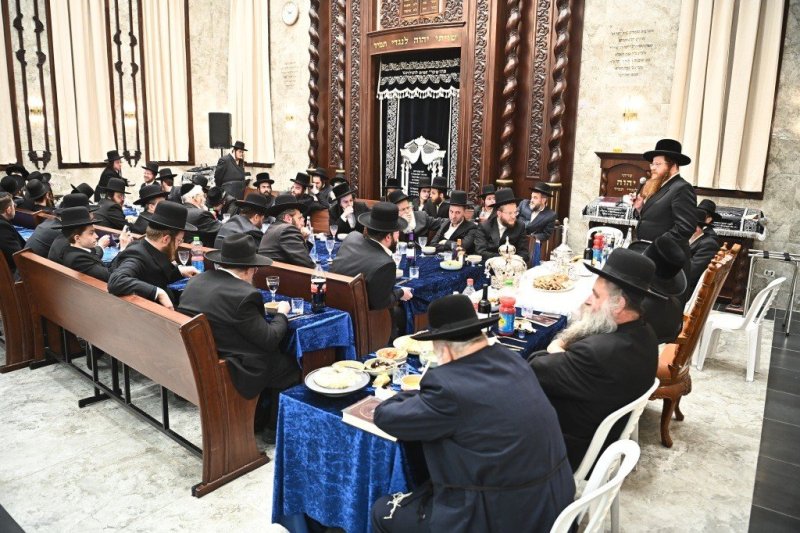 שוקי לרר