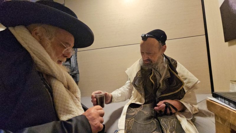 דוד שדה