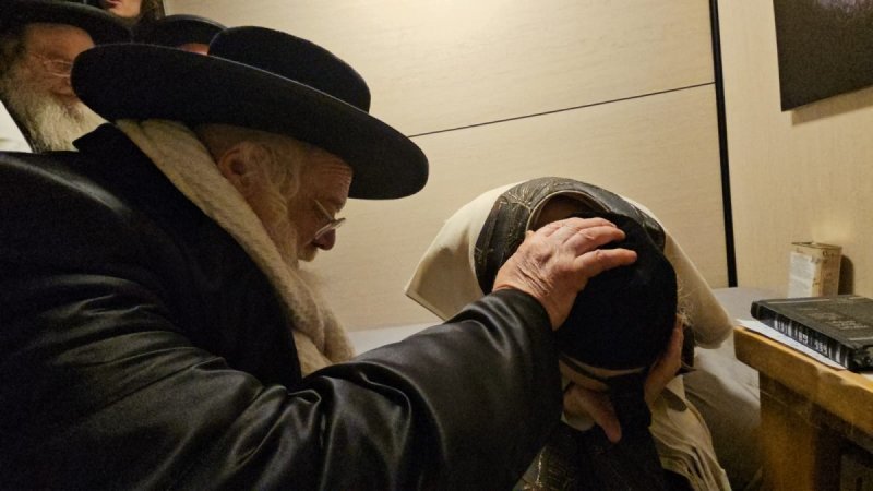 דוד שדה
