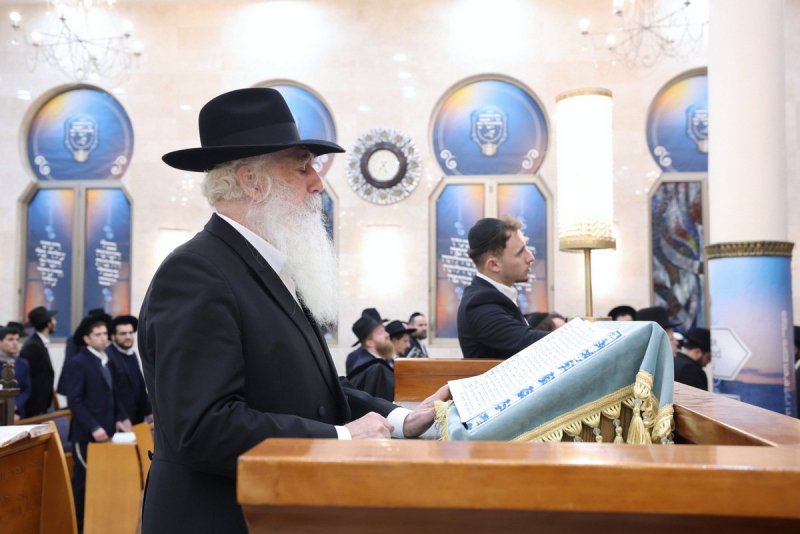 יעקב כהן