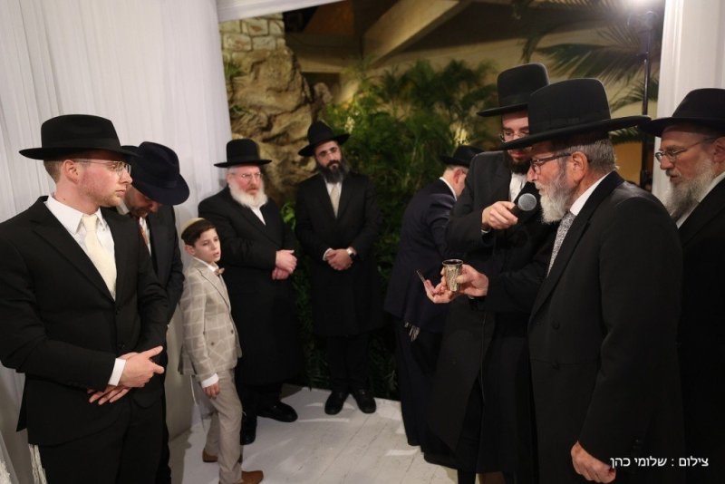 שלומי כהן