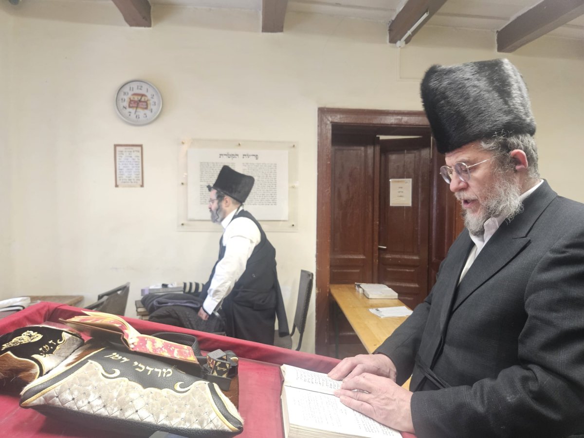 באדיבות המצלם
