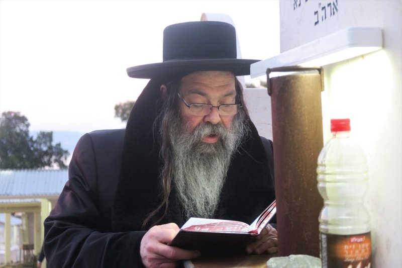 מ. אדלר