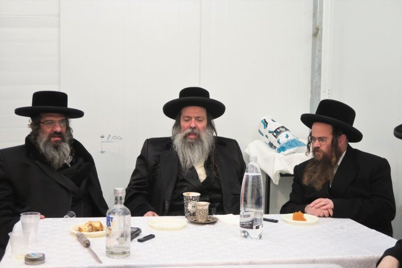 מ. אדלר