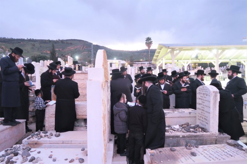 מ. אדלר