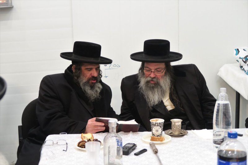 מ. אדלר