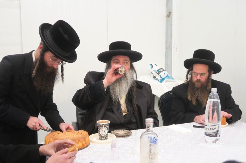 מ. אדלר