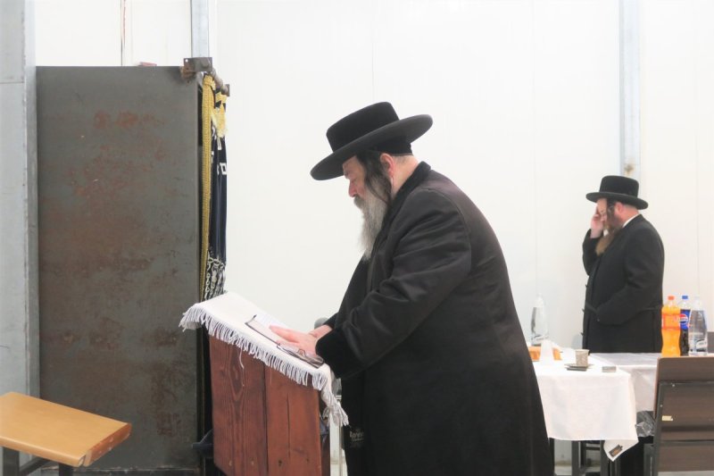 מ. אדלר
