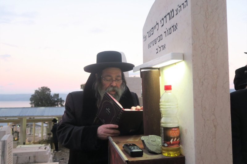 מ. אדלר