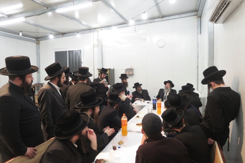 מ. אדלר