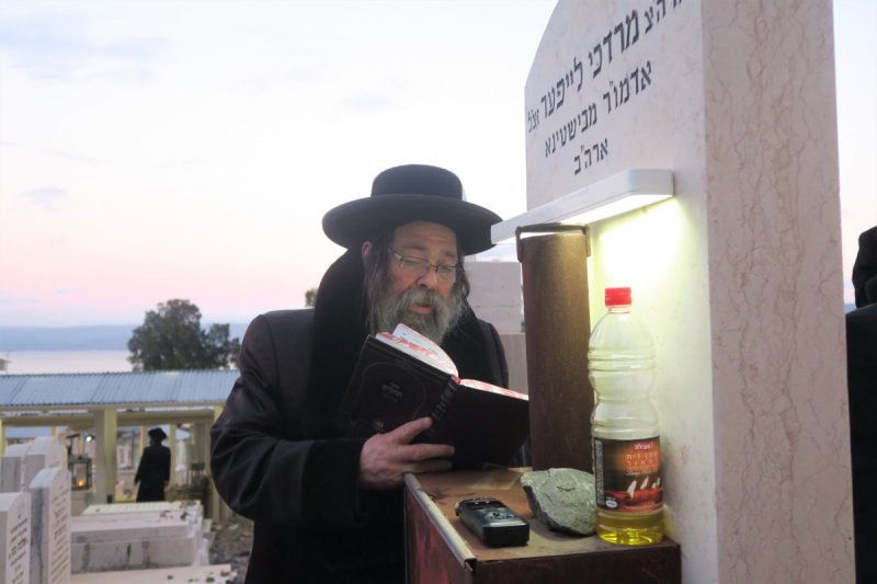מ. אדלר
