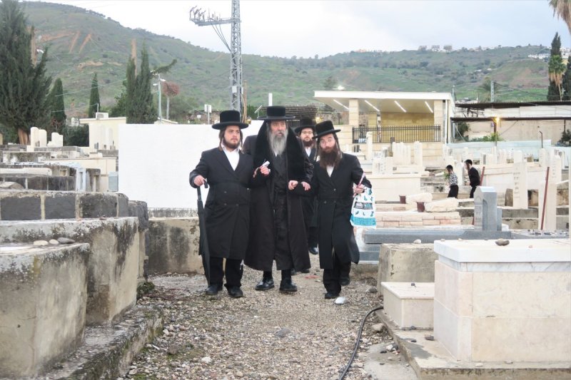 מ. אדלר