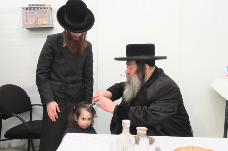 מ. אדלר