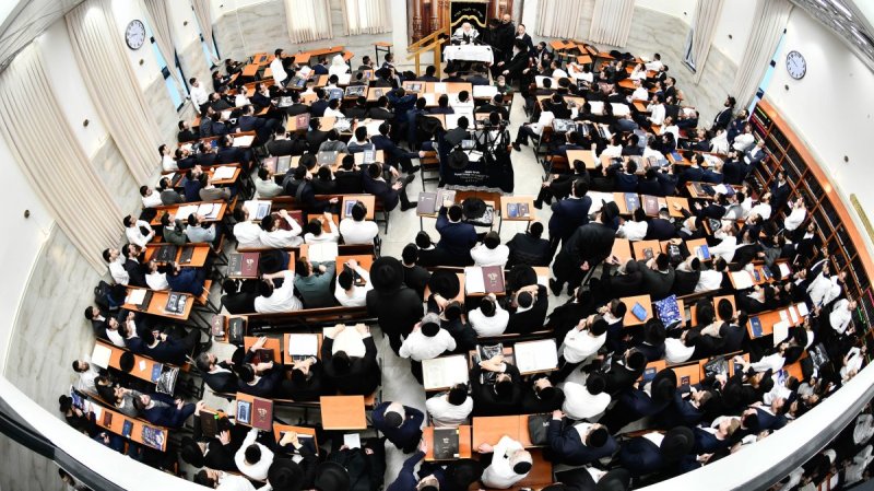 שוקי לרר