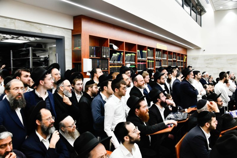 שוקי לרר