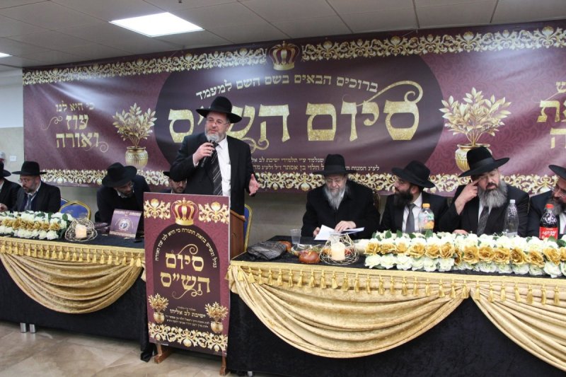 דודי קליין