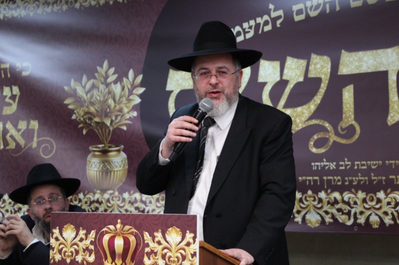 דודי קליין