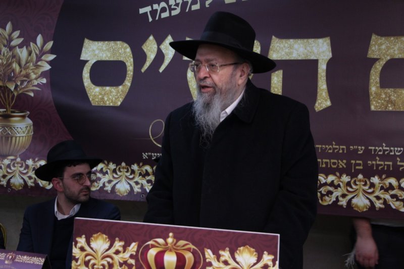 דודי קליין