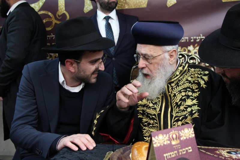 דודי קליין