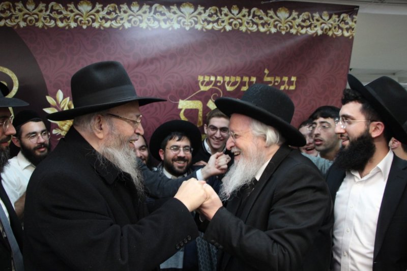 דודי קליין