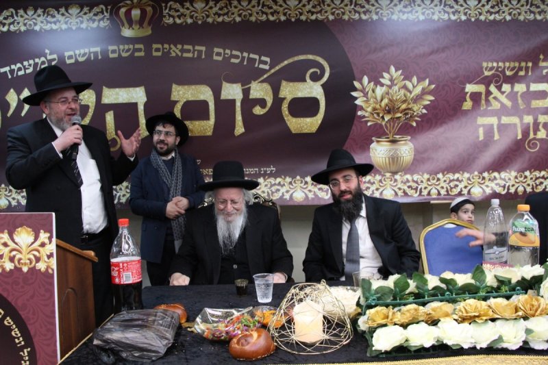 דודי קליין